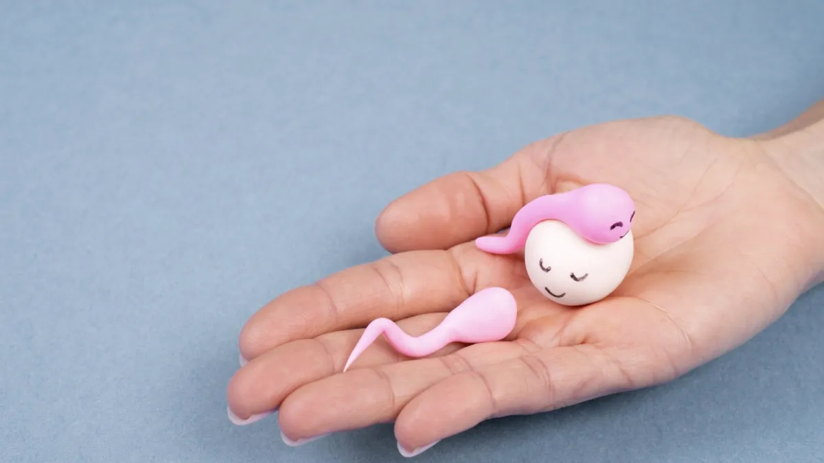 sperm analizi nasıl yapılır
